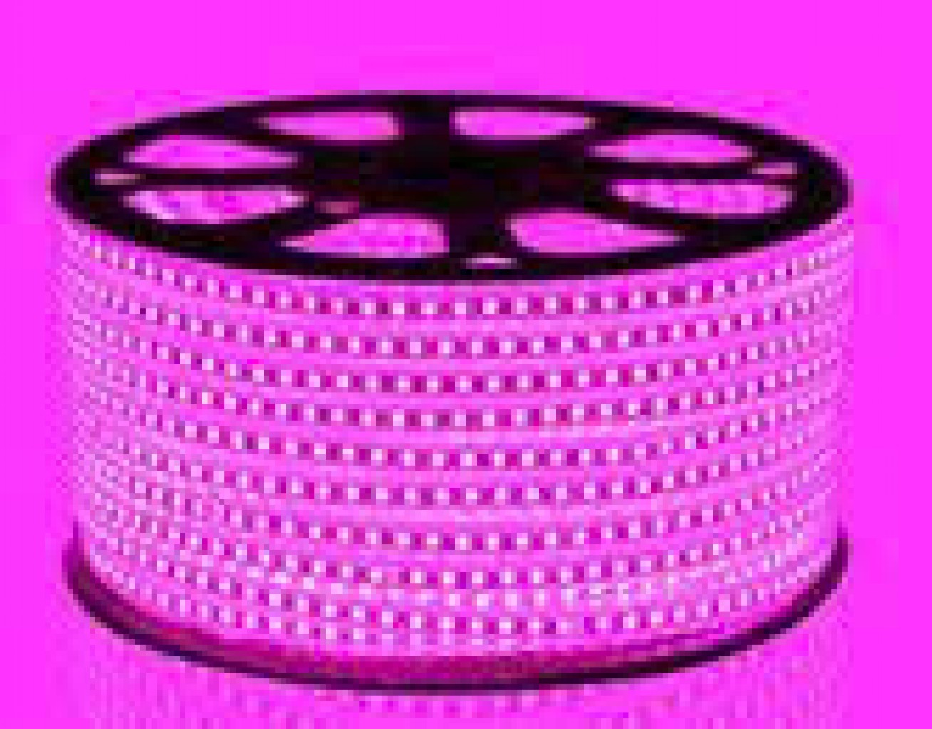 Đèn Led giây hồng