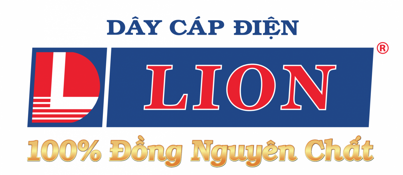 DÂY CÁP ĐIỆN LION